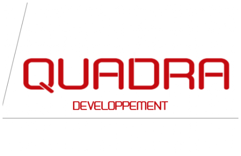 Les lemuriens.com a crée la carte de visite et le logo de la société QUADRA DEVELOPPMENT