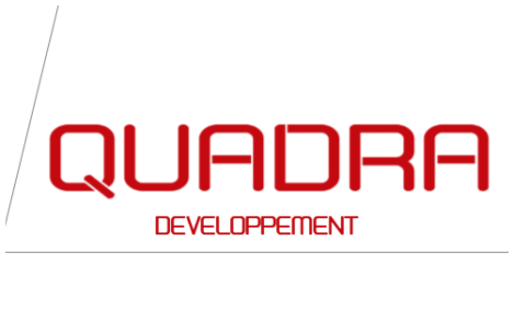 Quadra developpement creation de logo et de cartes de visites Les lemuriens.com a crée la carte de visite et le logo de la société QUADRA DEVELOPPMENT